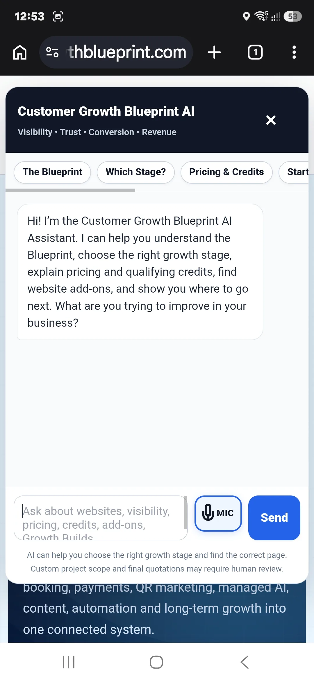 Customer Growth Blueprint Managed AI Growth Platform screenshot 1